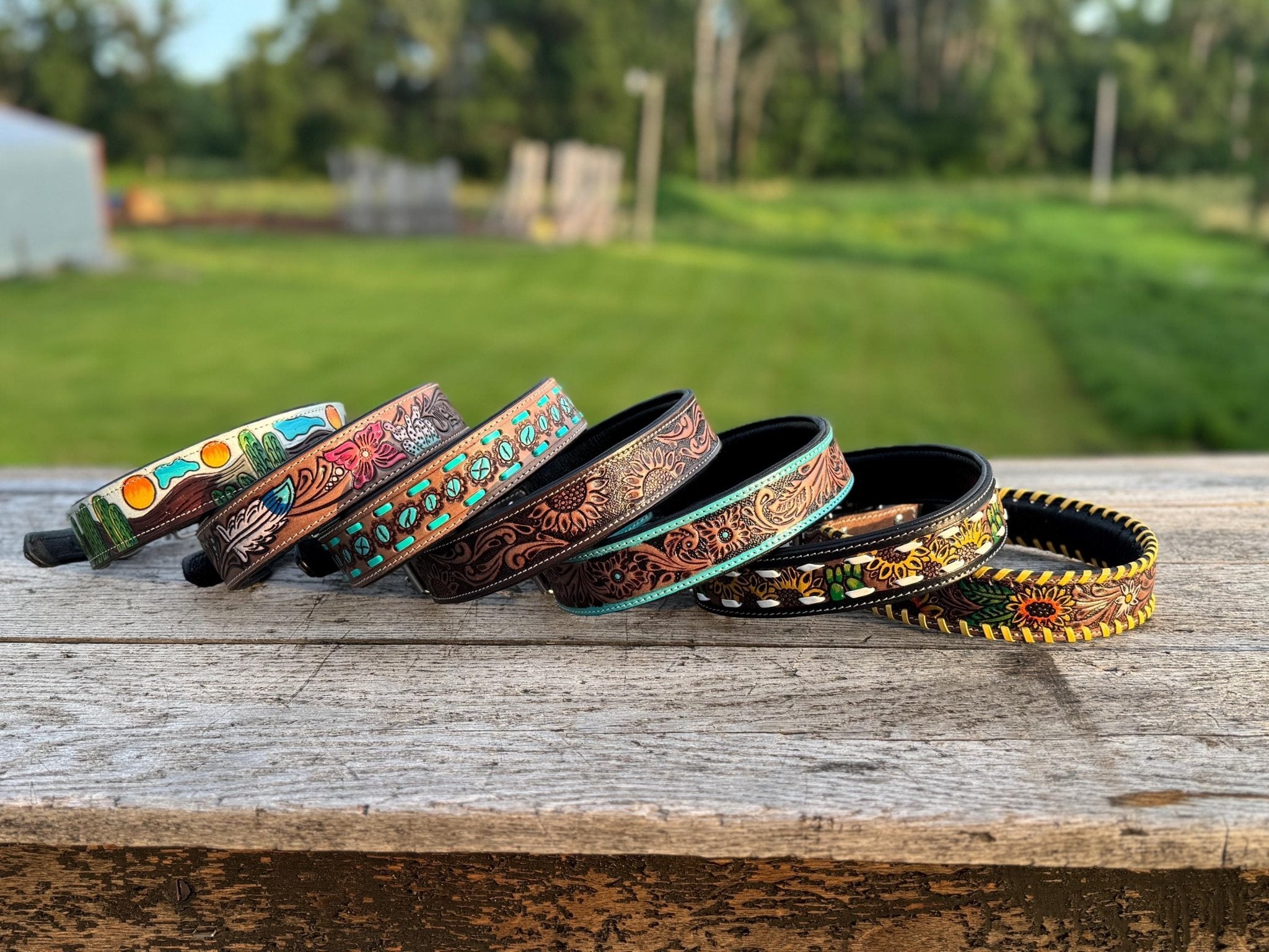 Western Genuine Leather dog collar or leash tooled details of sunflower daisy cactus floral turquoise feather by Double B Wild Rags - Rustic Avenue