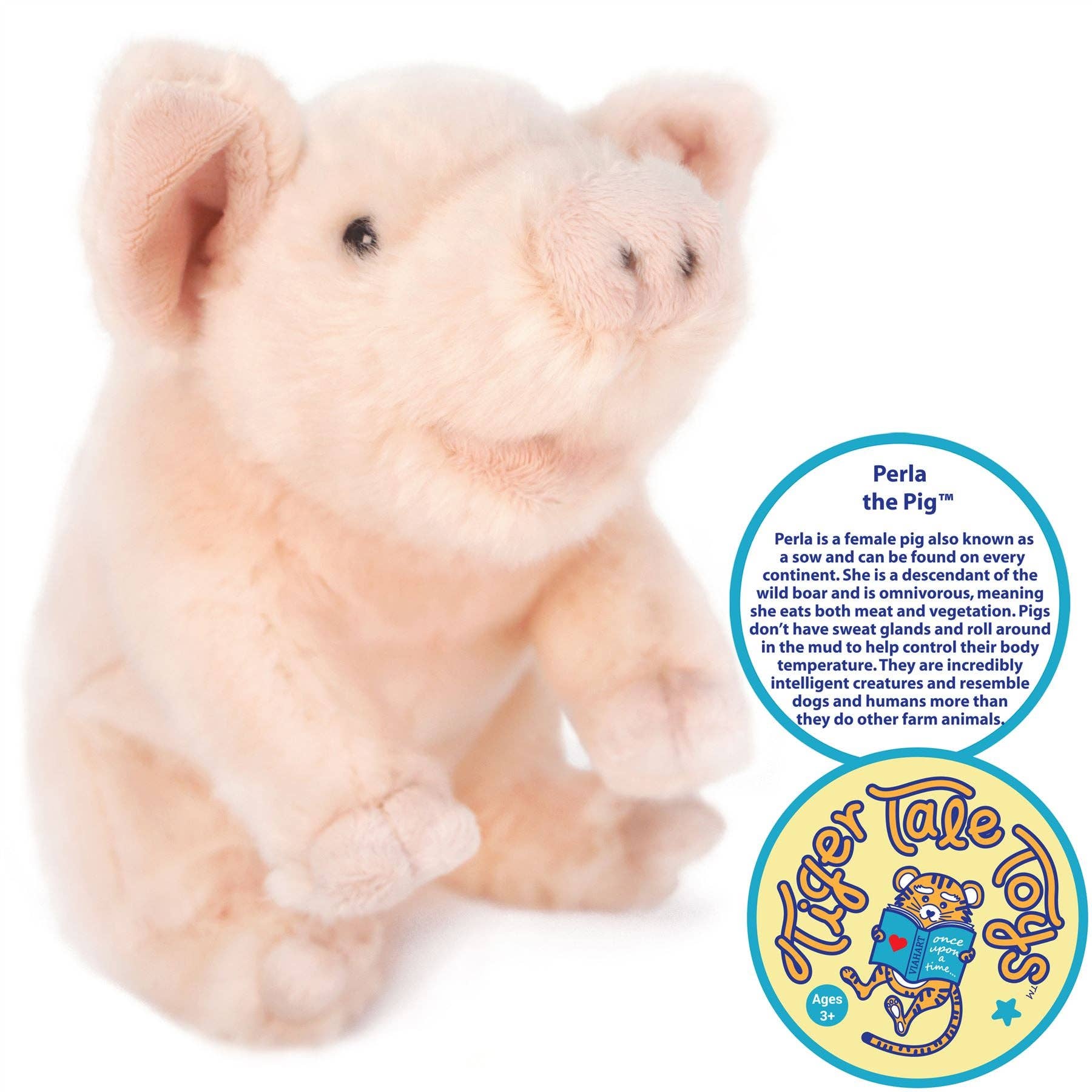 Perla The Pig | 11 Inch Stuffed Animal Plush - Rustic Avenue